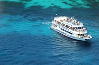 1974198_834988033192563_5247968374605630799_o 1974198_834988033192563_5247968374605630799_o